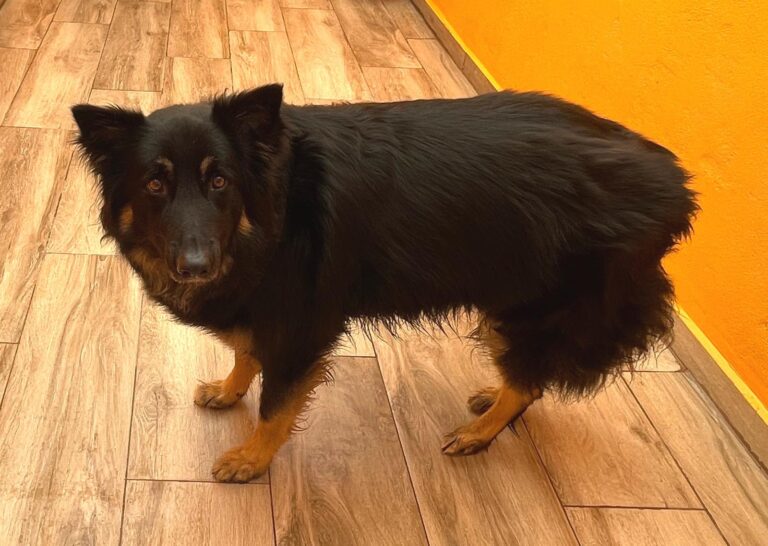 multimedia-foto87860-869-1