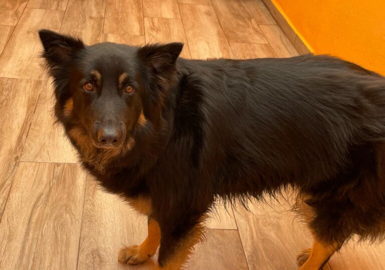 multimedia-foto87861-869-1