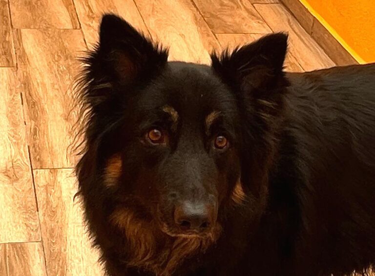 multimedia-foto87862-869-1