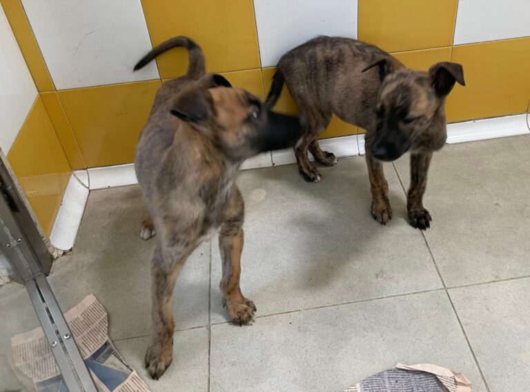 multimedia-foto87893-291-1