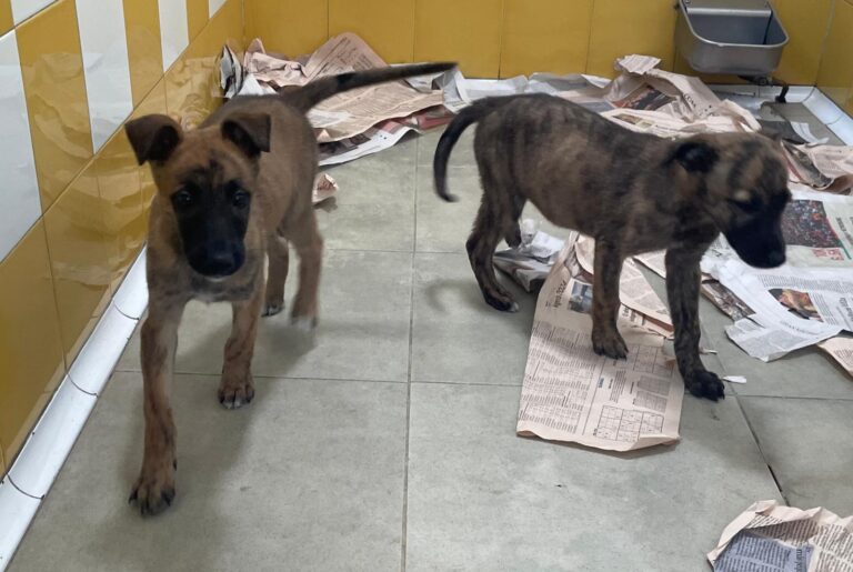 multimedia-foto87894-292-1