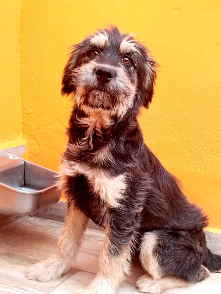 multimedia-foto87895-26-1