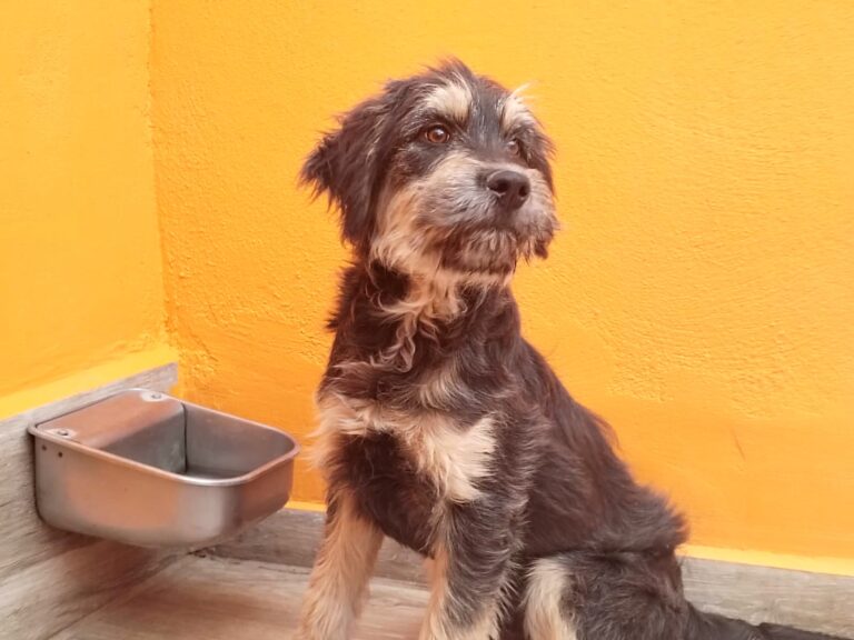 multimedia-foto87897-26-1