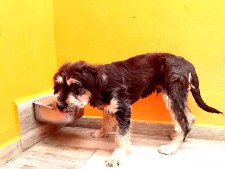 multimedia-foto87900-27-1