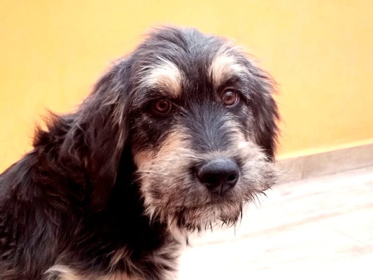 multimedia-foto87901-27-1