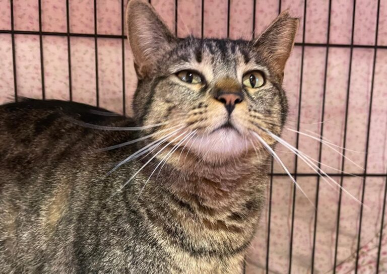 multimedia-foto87914-209-1