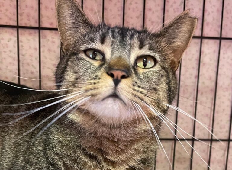 multimedia-foto87915-209-1