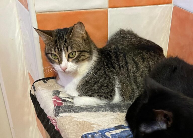 multimedia-foto87916-317-1