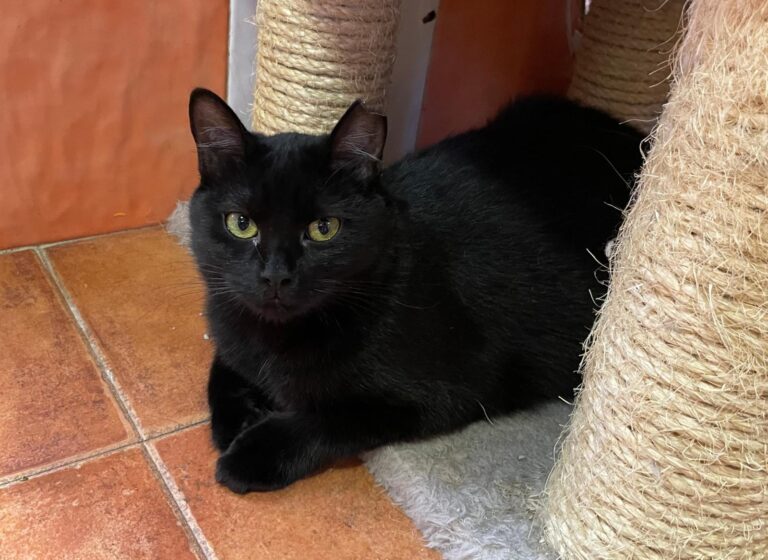 multimedia-foto87918-317-1