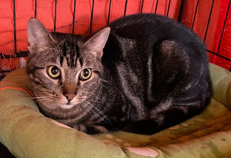 multimedia-foto87922-488-1