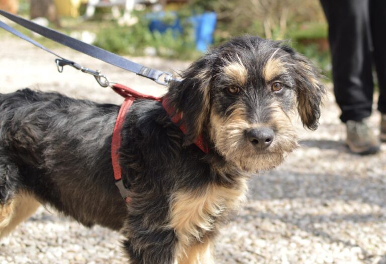 multimedia-foto87935-588-1