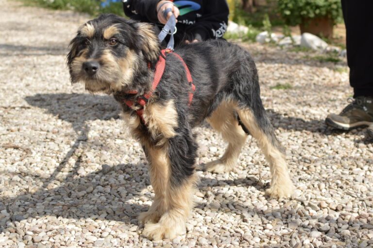 multimedia-foto87936-588-1