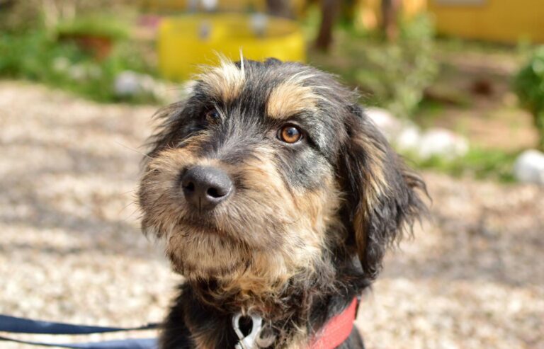 multimedia-foto87937-588-1