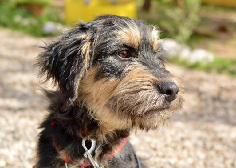 multimedia-foto87938-588-1