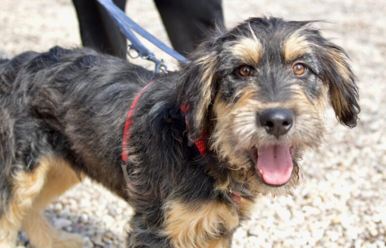 multimedia-foto87939-589-1