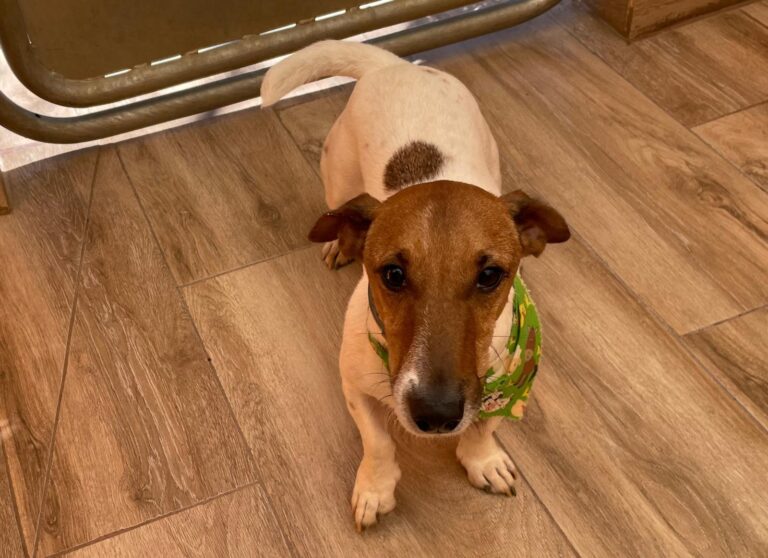 multimedia-foto87941-633-1