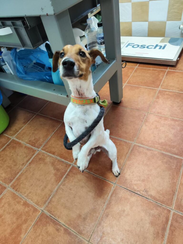 multimedia-foto87942-633-1