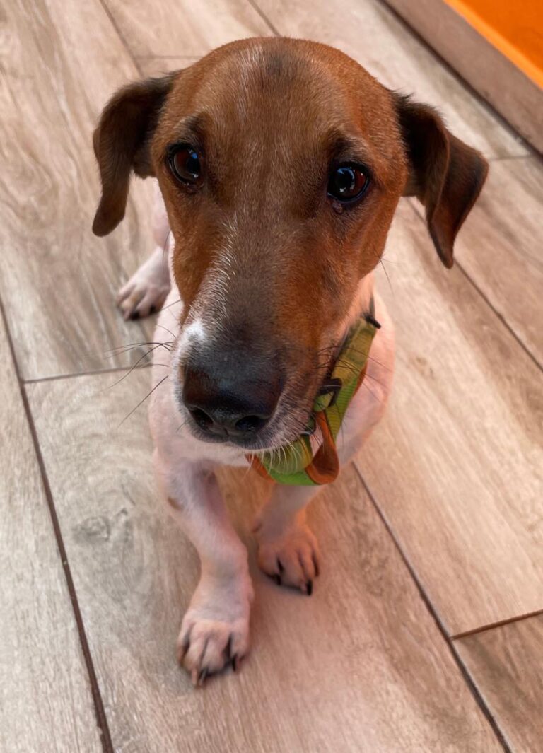 multimedia-foto87943-633-1