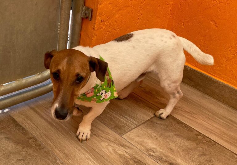 multimedia-foto87947-634-1