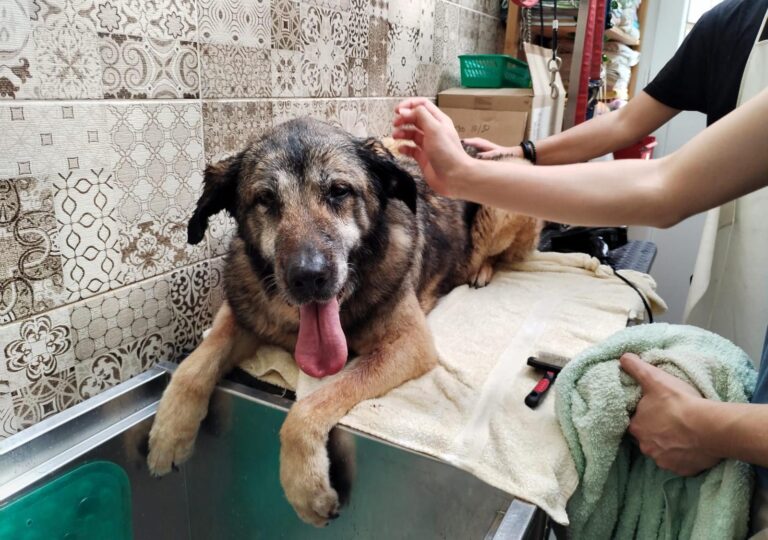 multimedia-foto87954-70-1