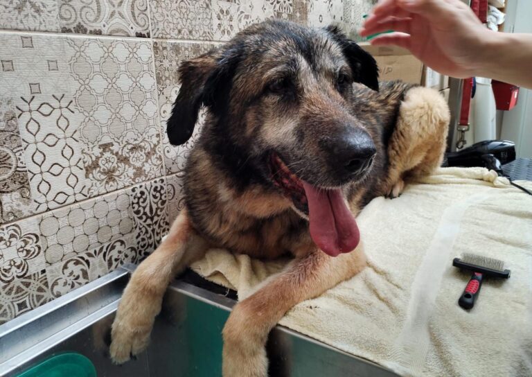 multimedia-foto87955-71-1