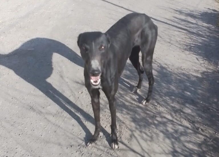 multimedia-foto87958-88-1