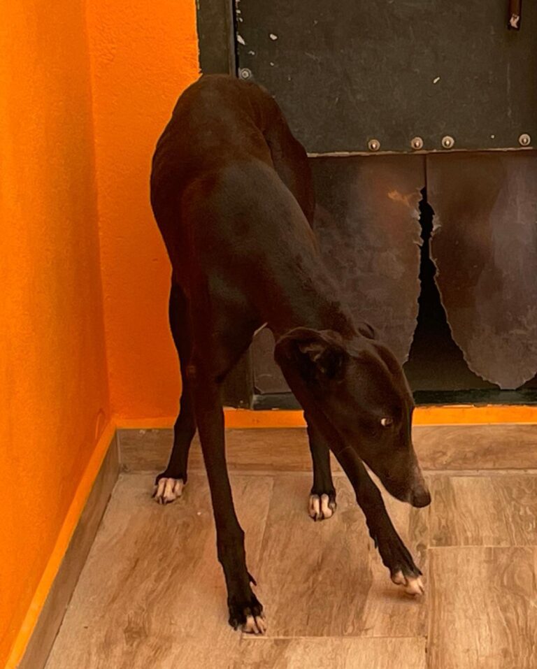 multimedia-foto87959-89-1