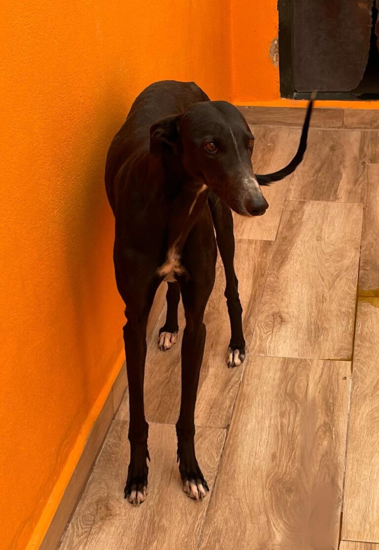 multimedia-foto87960-89-1