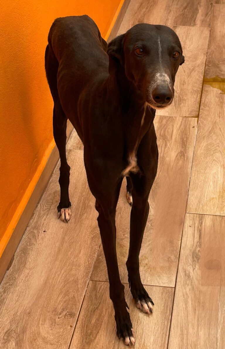 multimedia-foto87961-89-1