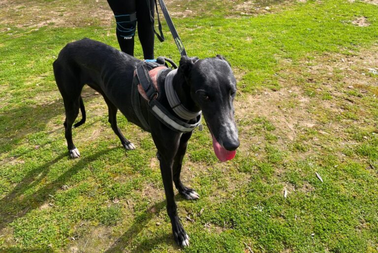 multimedia-foto87962-89-1