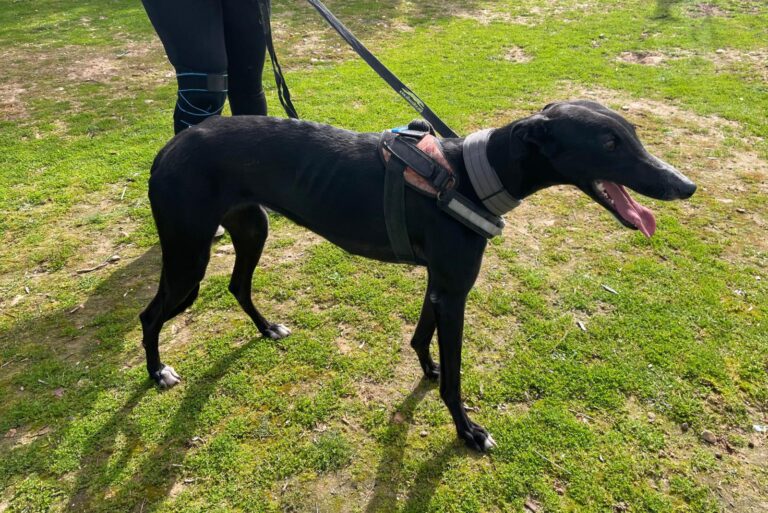 multimedia-foto87963-89-1