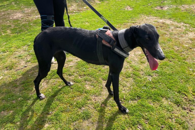 multimedia-foto87964-90-1