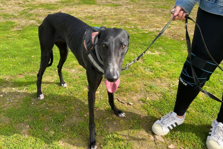 multimedia-foto87965-90-1