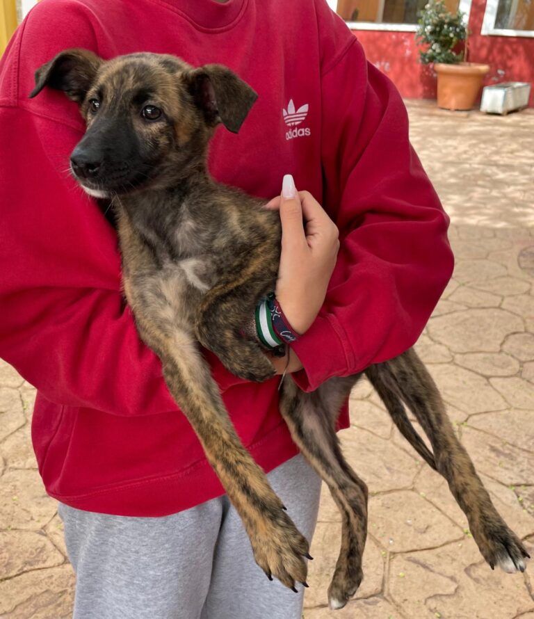 multimedia-foto87966-705-1