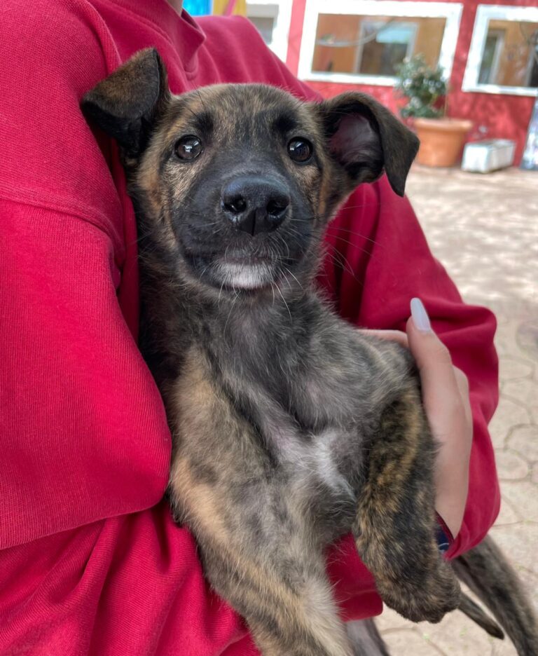 multimedia-foto87967-705-1