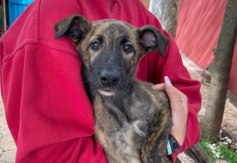 multimedia-foto87968-705-1