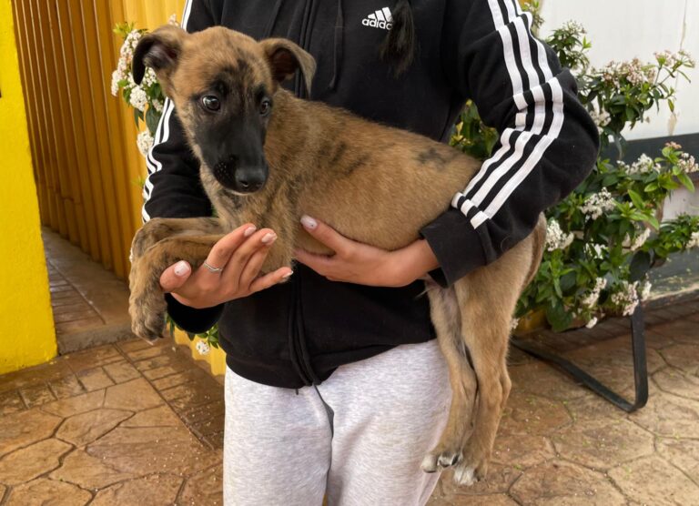 multimedia-foto87969-772-1