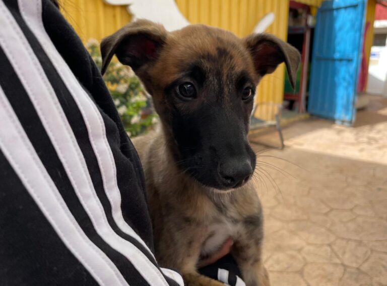 multimedia-foto87970-772-1