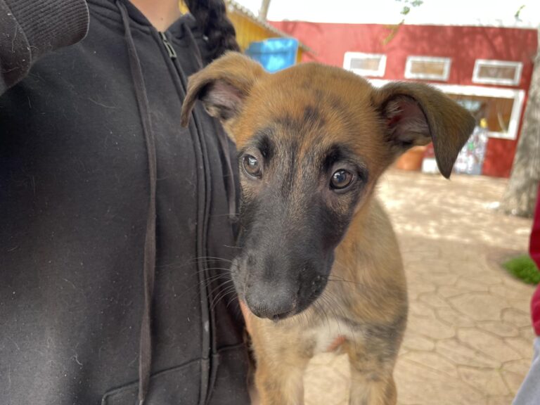 multimedia-foto87971-772-1