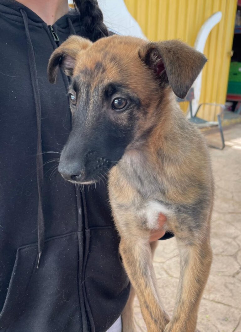 multimedia-foto87972-773-1