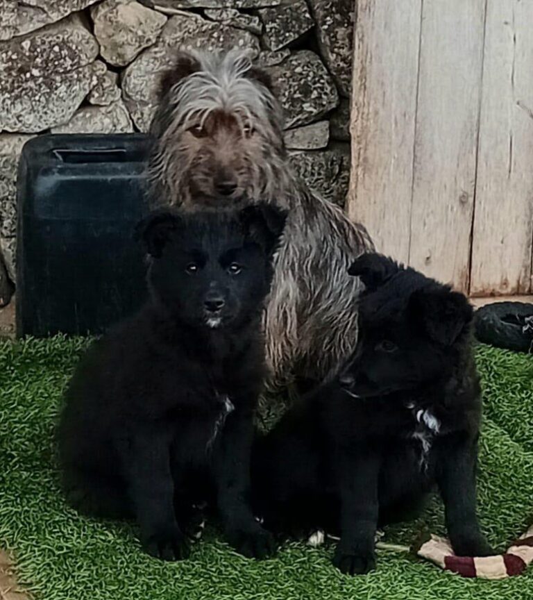 multimedia-foto87974-332-1