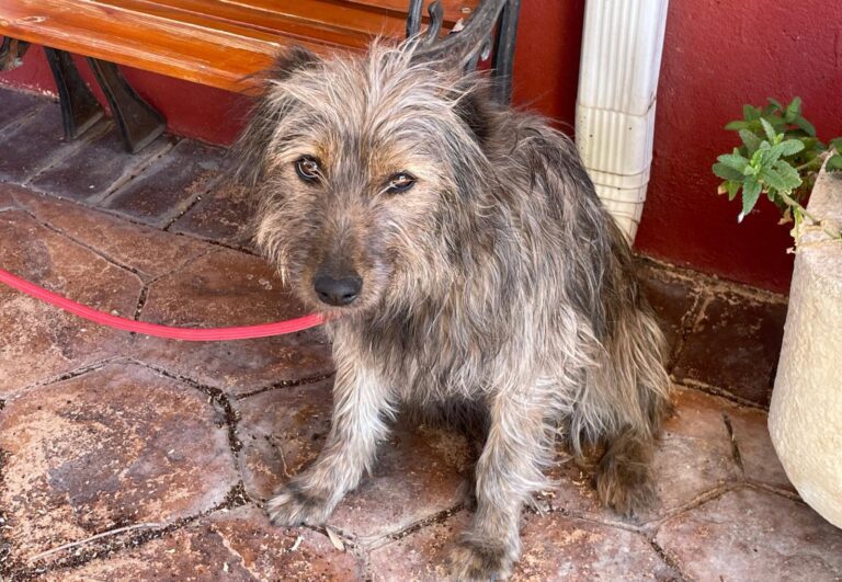 multimedia-foto87977-506-1