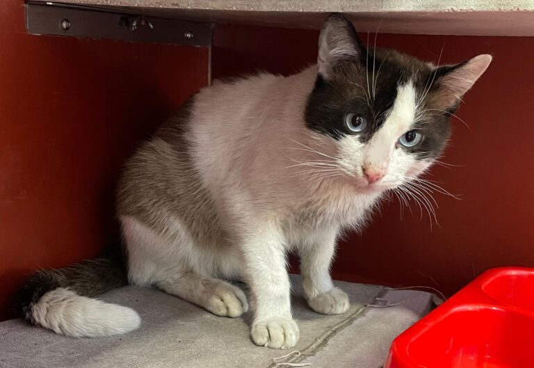 multimedia-foto87983-870-1