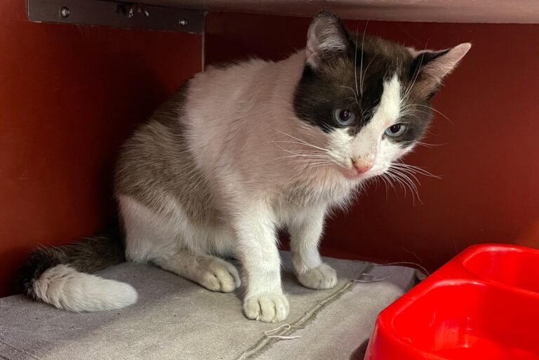 multimedia-foto87984-870-1