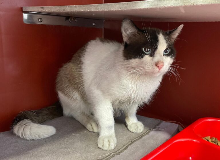 multimedia-foto87985-870-1