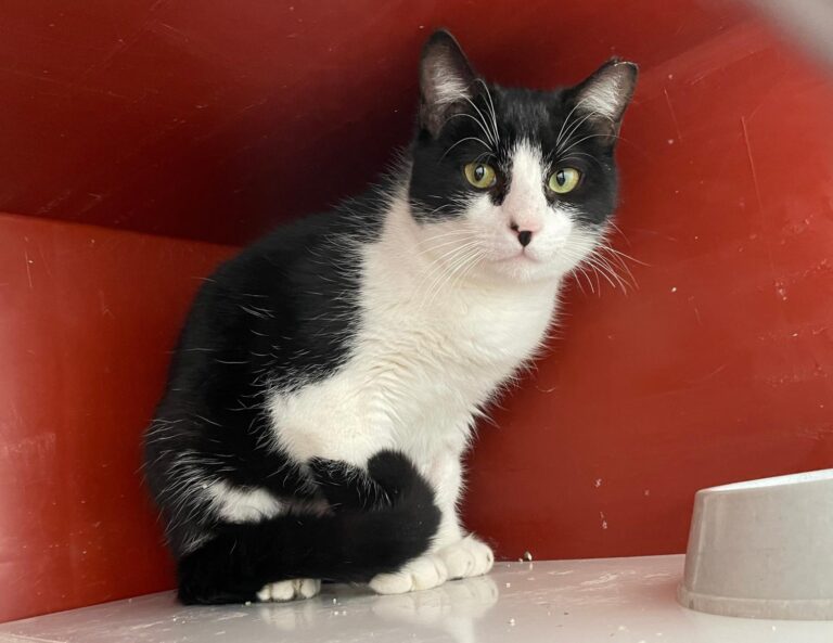 multimedia-foto87988-201-1