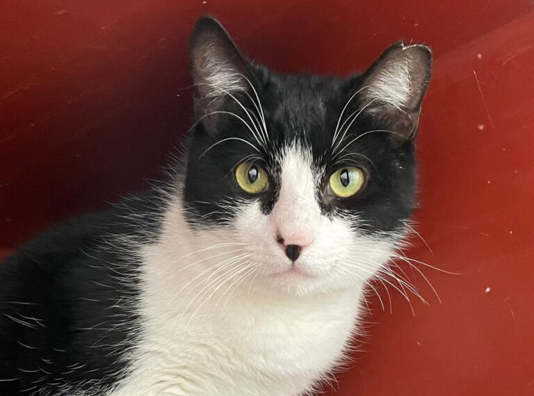 multimedia-foto87989-202-1