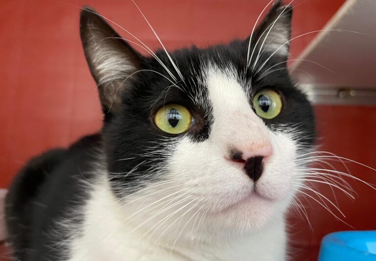 multimedia-foto87990-202-1