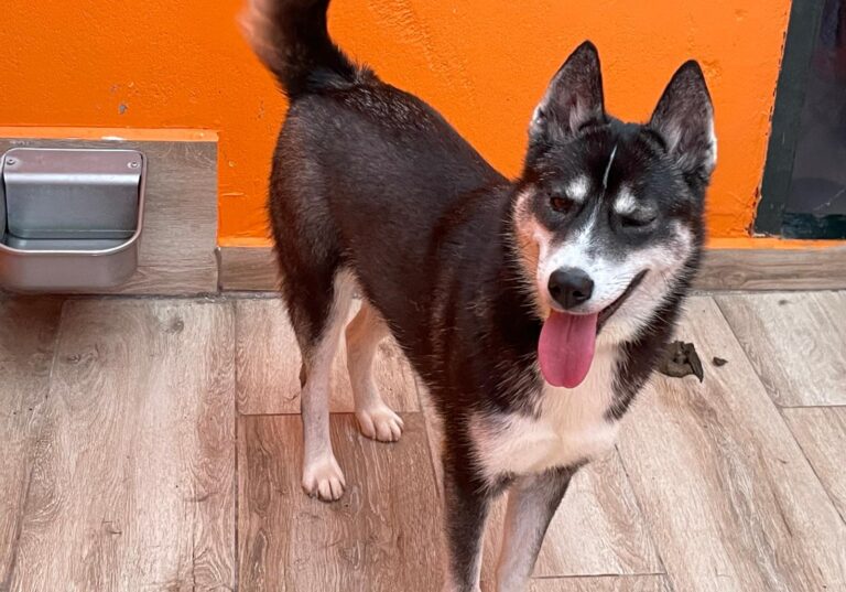 multimedia-foto88000-310-1