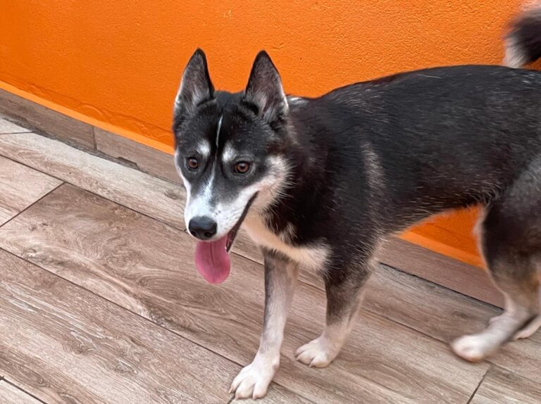 multimedia-foto88003-310-1